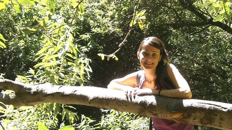 Comienza la aventura Viviendo Consciente