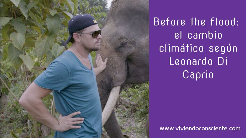 Before the flood: el cambio climático según Leonardo Di Caprio