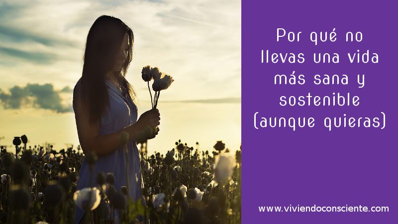 Por qué no llevas una vida más sana y sostenible (aunque quieras)