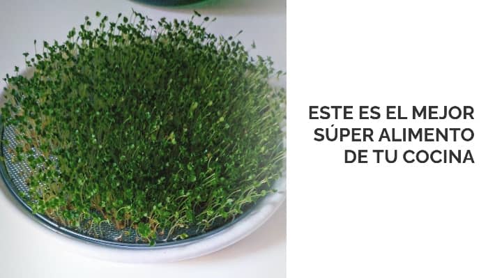 Este es el mejor súper alimento de tu cocina