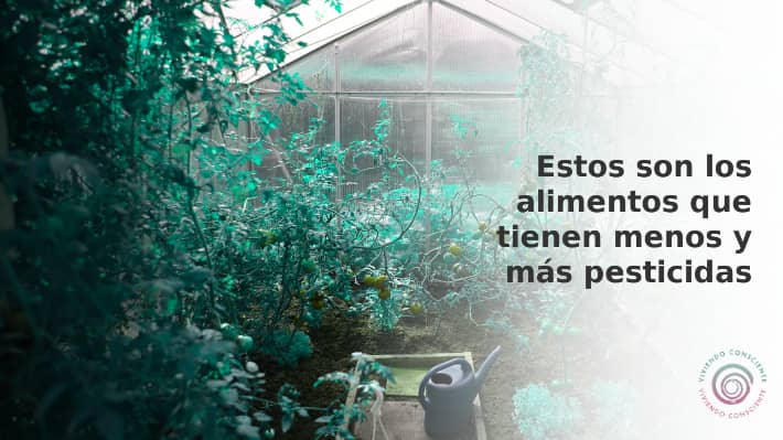 Estos son los alimentos que tienen más y menos pesticidas