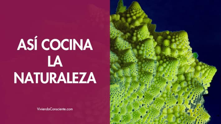 Así cocina la naturaleza