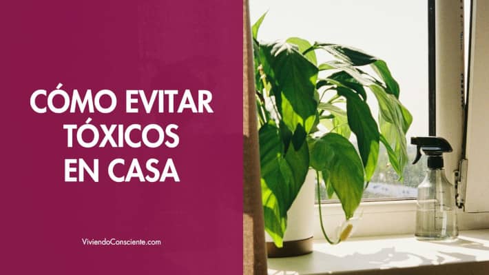 Cómo evitar tóxicos y tener aire limpio en casa