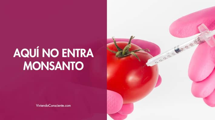 Aquí no entra monsanto…