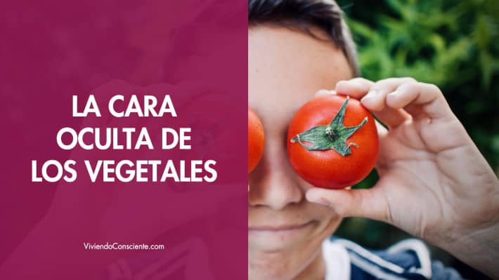 La cara oculta de los vegetales