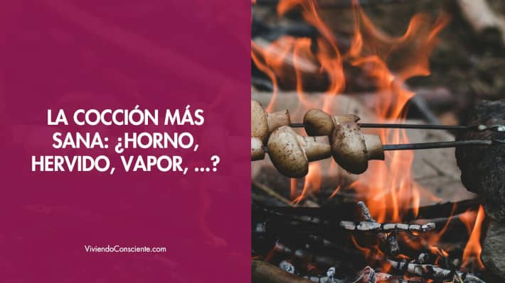 La cocción más sana: ¿Horno, hervido, vapor, …?