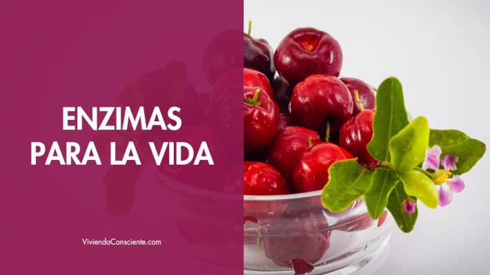 Enzimas para la vida