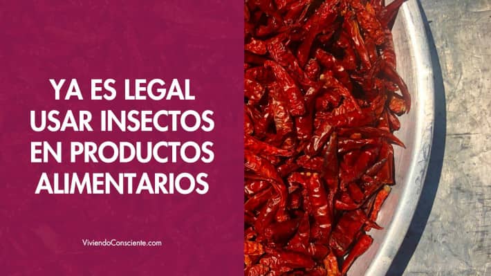Ya es legal usar insectos en productos alimentarios