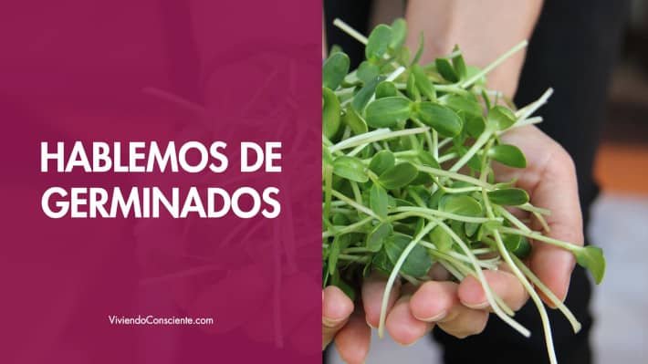 Hablemos de germinados