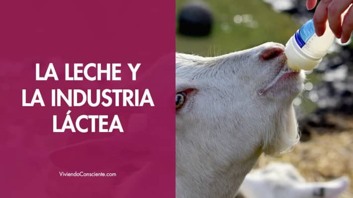 La leche y la industria láctea