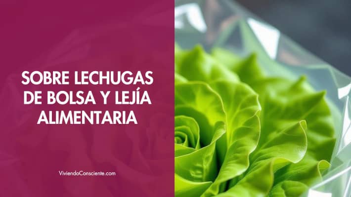 Sobre lechugas de bolsa y lejía alimentaria