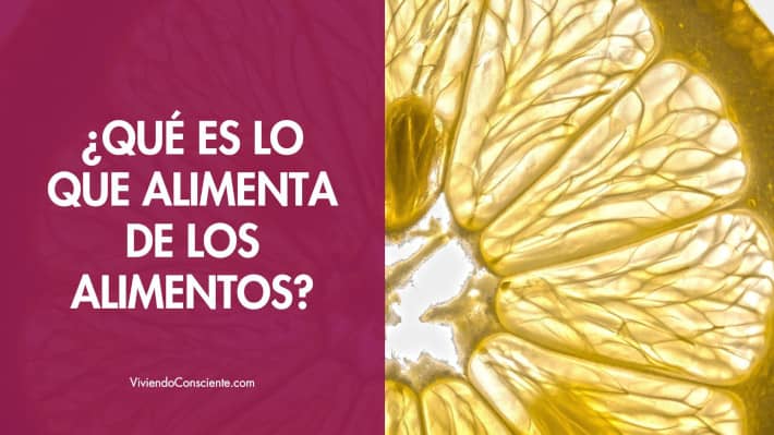 ¿Qué es lo que alimenta de los alimentos?