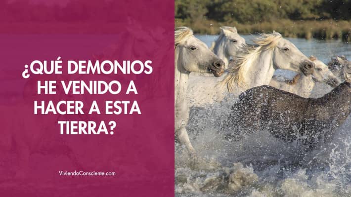 ¿Qué demonios he venido a hacer a esta tierra?