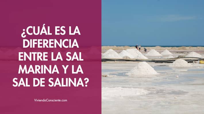 ¿Cuál es la diferencia entre la sal marina y la sal de salina?