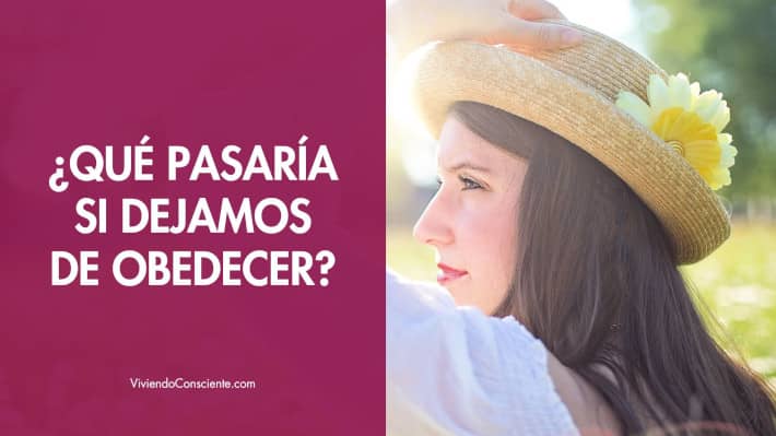 ¿Qué pasaría si dejásemos de obedecer?