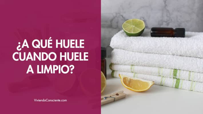 ¿A qué huele cuando huele a limpio?