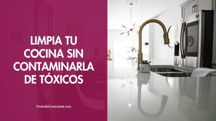 Limpia tu cocina sin contaminarla de tóxicos